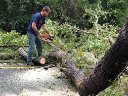 Best Firewood Processing and Delivery  in Kimberly, ID